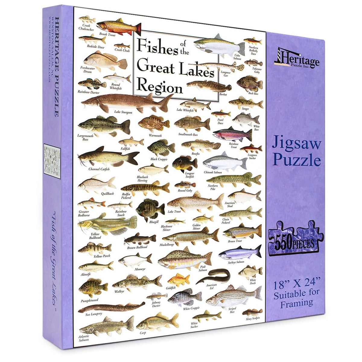 Heritage Puzzle Inc. Fishes of the Great Lakes box art for quick reference while assembling.