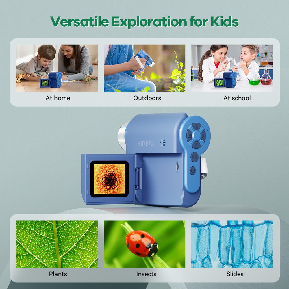 Hideal HP20 color filters highlight structures during observations.