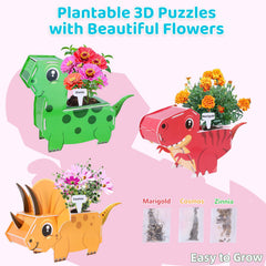 HiHOYA Triceratops plantable puzzle shows seeds growing at home