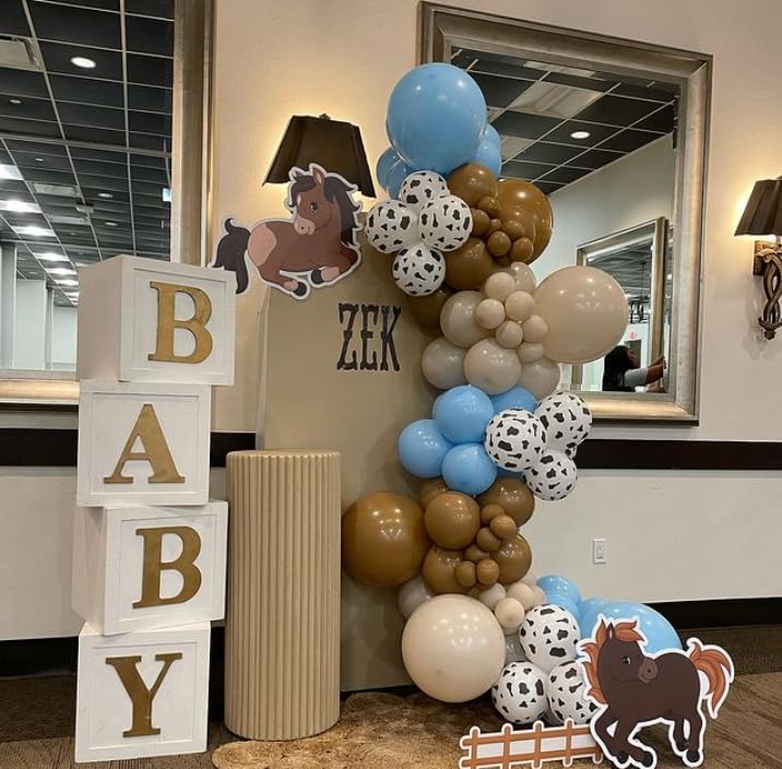 HILAVO 35-piece balloon set helps quick rodeo party decorating