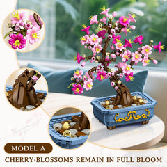 HOGOKIDS Bonsai half-moon planter for a modern mini-garden look