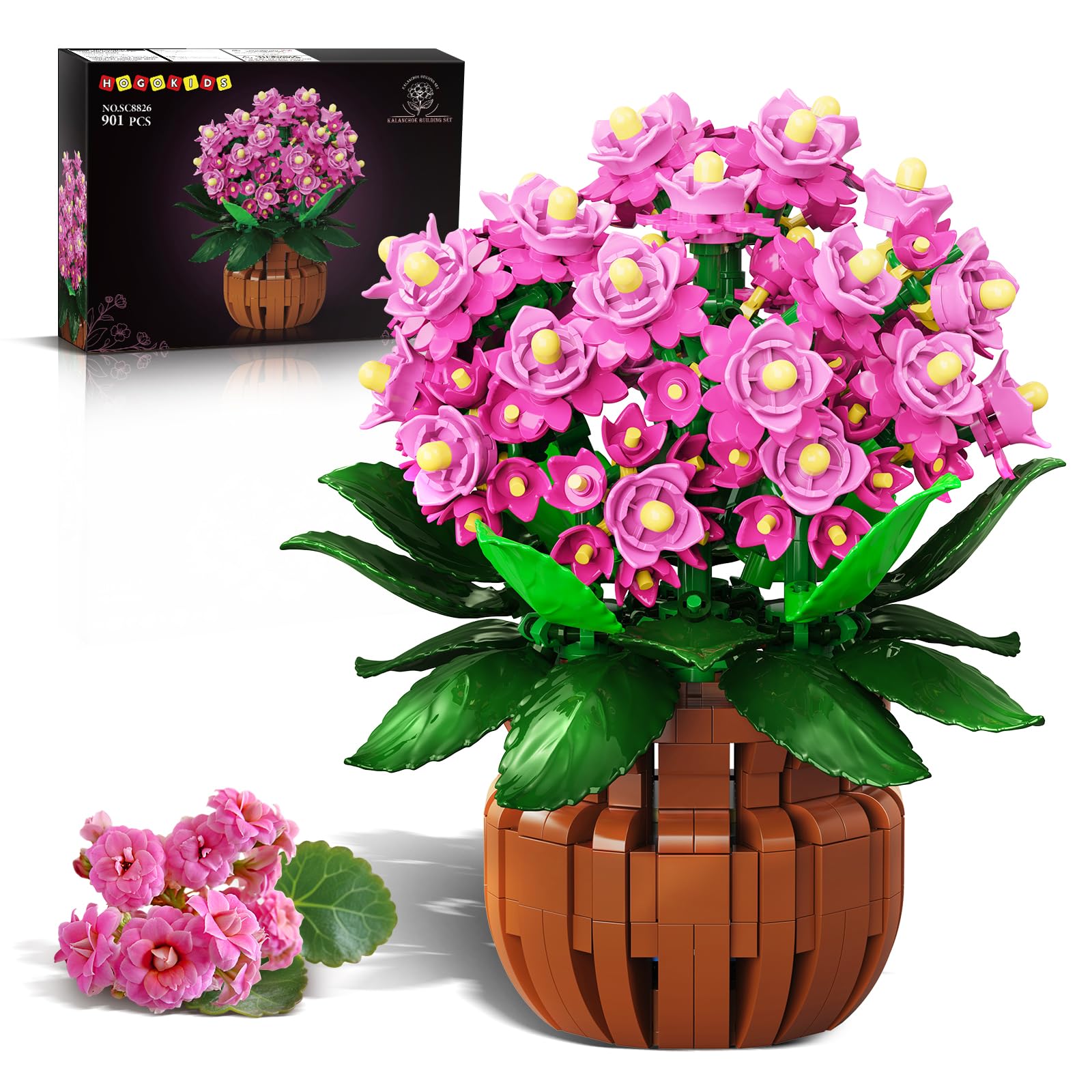 HOGOKIDS Kalanchoe bonsai building kit with rosy blooms for desktop display
