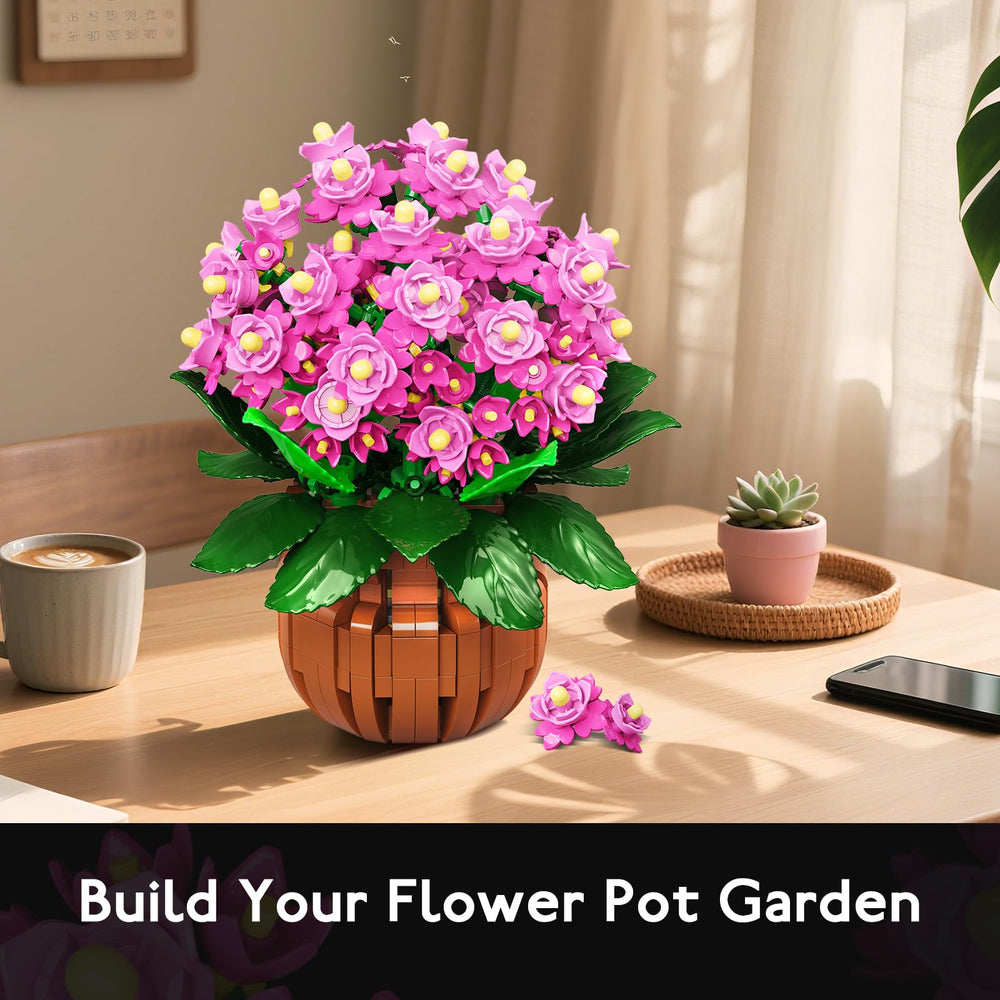 HOGOKIDS Kalanchoe bonsai gift packaging for plant lovers