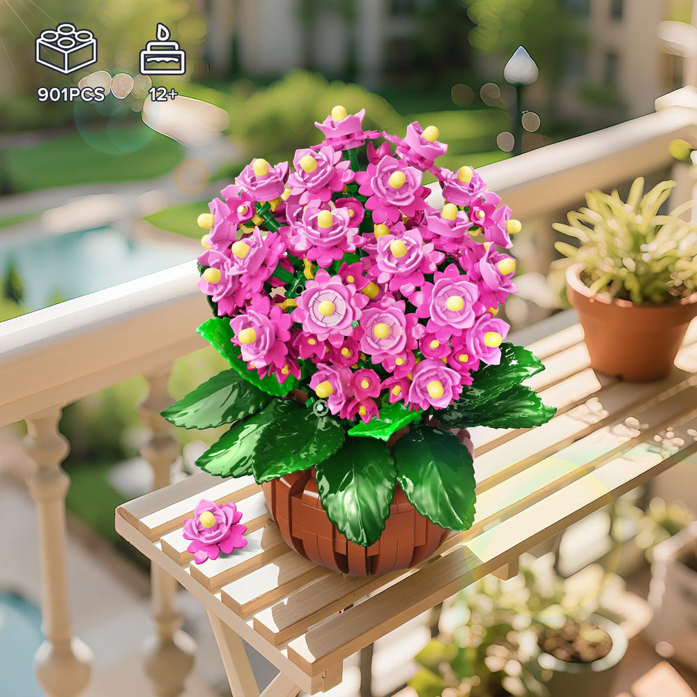 HOGOKIDS Kalanchoe bonsai on a vintage pot enhances shelf decor