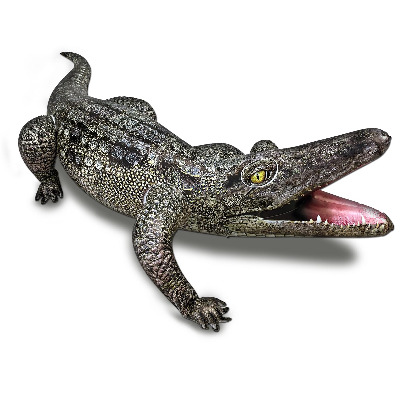 HOHQB 40-inch inflatable alligator beside the pool for vibrant party decor.