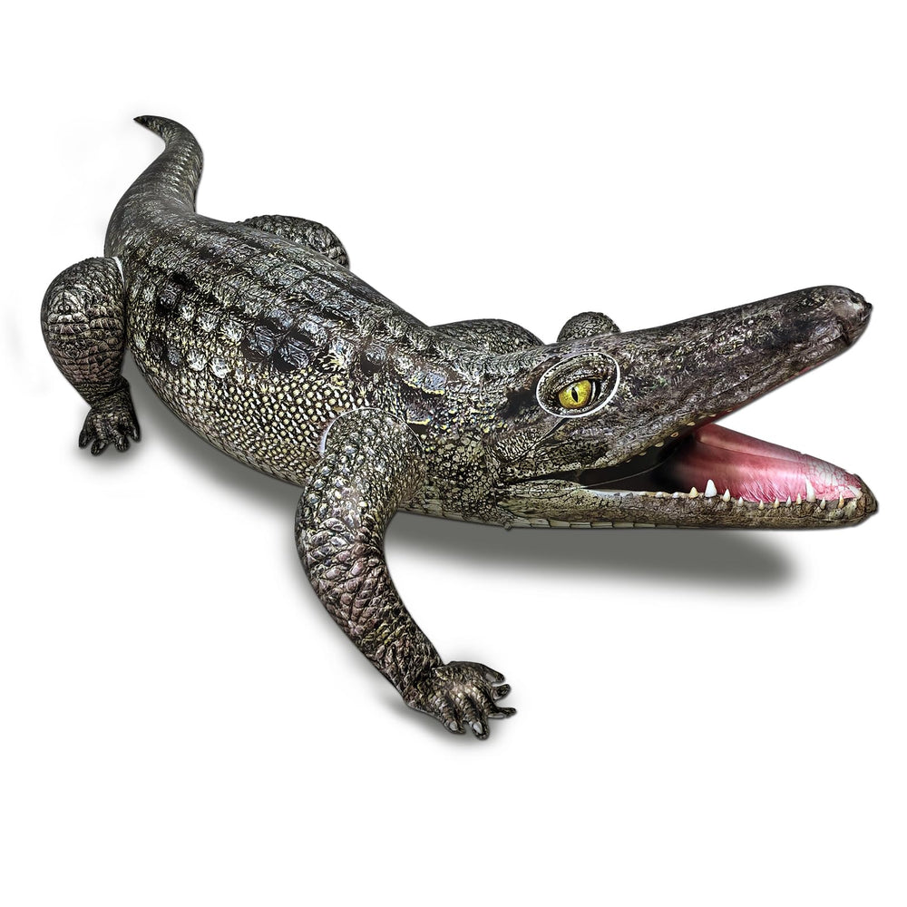 HOHQB 40-inch inflatable alligator beside the pool for vibrant party decor.