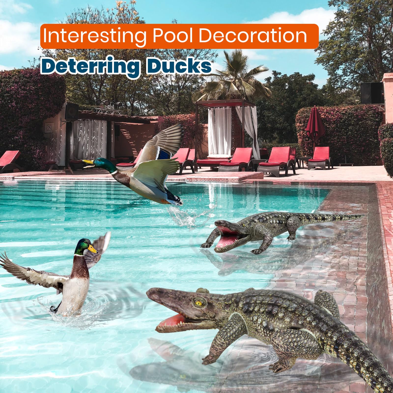 HOHQB oversized alligator decor enhances poolside or party photo moments.