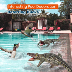 HOHQB oversized alligator decor enhances poolside or party photo moments.