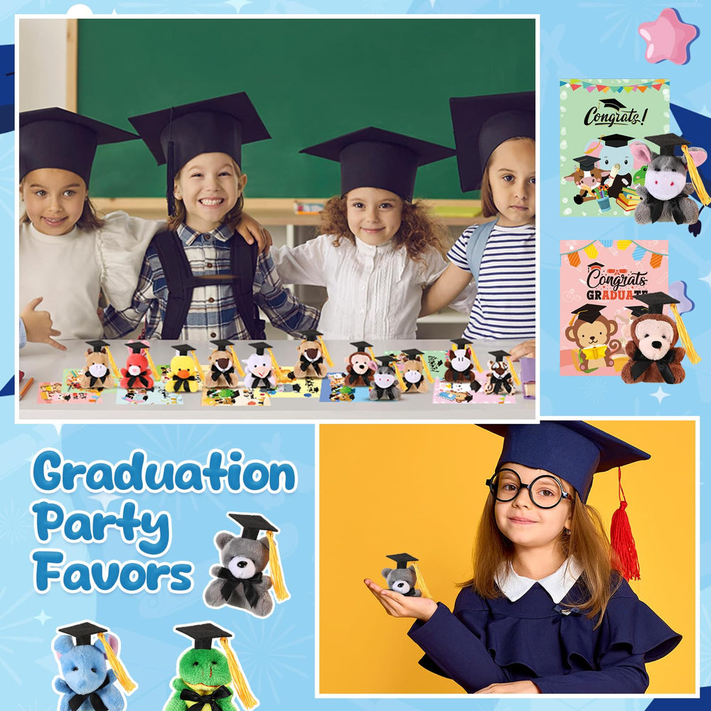 Hollowfly graduation plush with card set, ready for gift exchanges