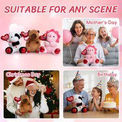 HollyHOME Capybara plush gift-ready package suitable for birthdays.
