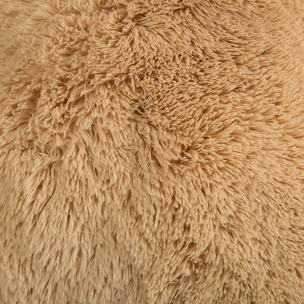 HollyHOME large bear as family-friendly cuddle buddy.