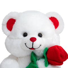 HollyHOME Valentine gift idea for girlfriend or kids
