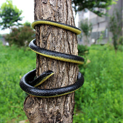 Homdipoo durable rubber construction withstands indoor and outdoor use