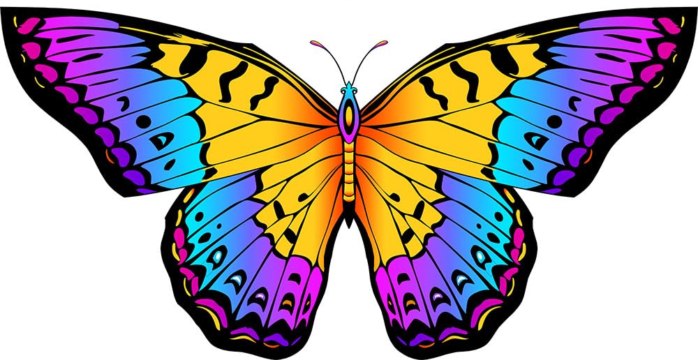 HONBO Butterfly kite 300ft line enables long, graceful flights.