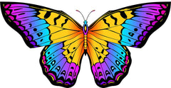 HONBO Butterfly kite 300ft line enables long, graceful flights.
