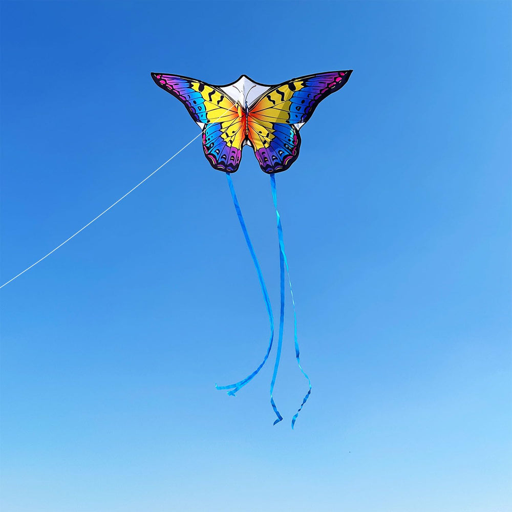 HONBO Butterfly kite compact carry bag fits backpack or luggage.