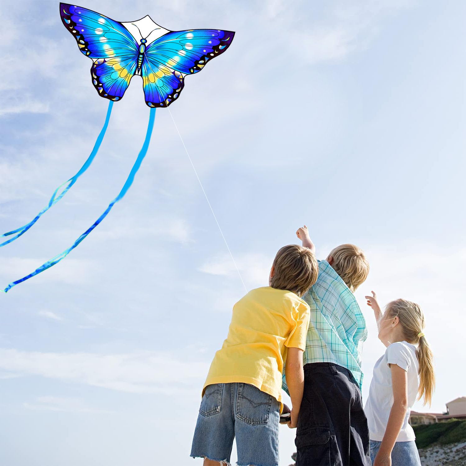 HONBO Butterfly Kite family beach day ready for shared fun