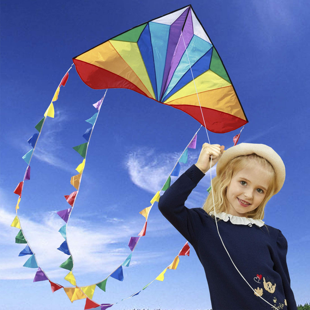 Honbo delta kite with rainbow tails for high visibility
