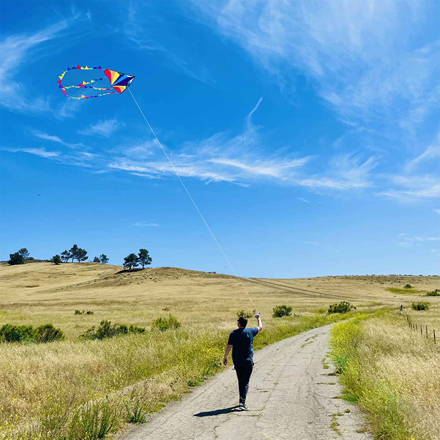 Honbo kite 300ft anti-tangle line enables smoother launches