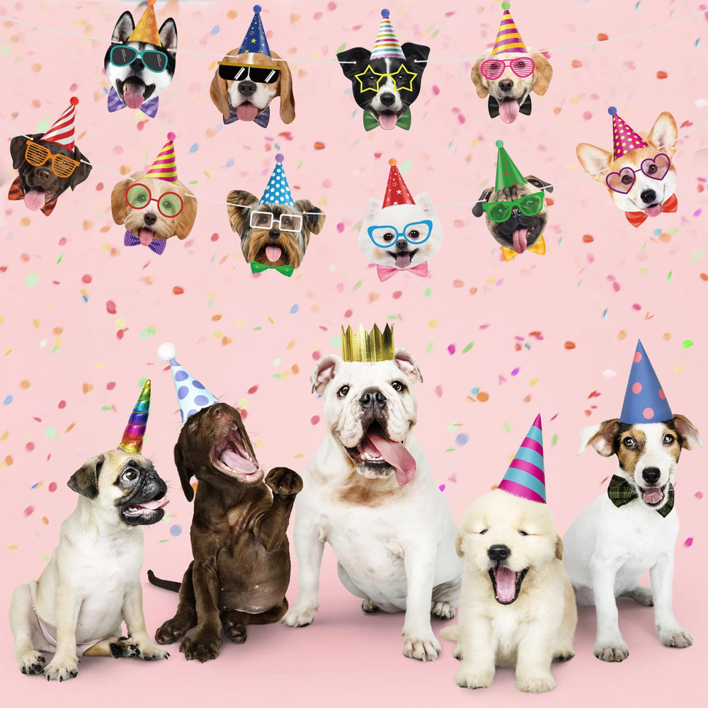 Hooqict dog birthday banner hanging setup, easy to string with included pins