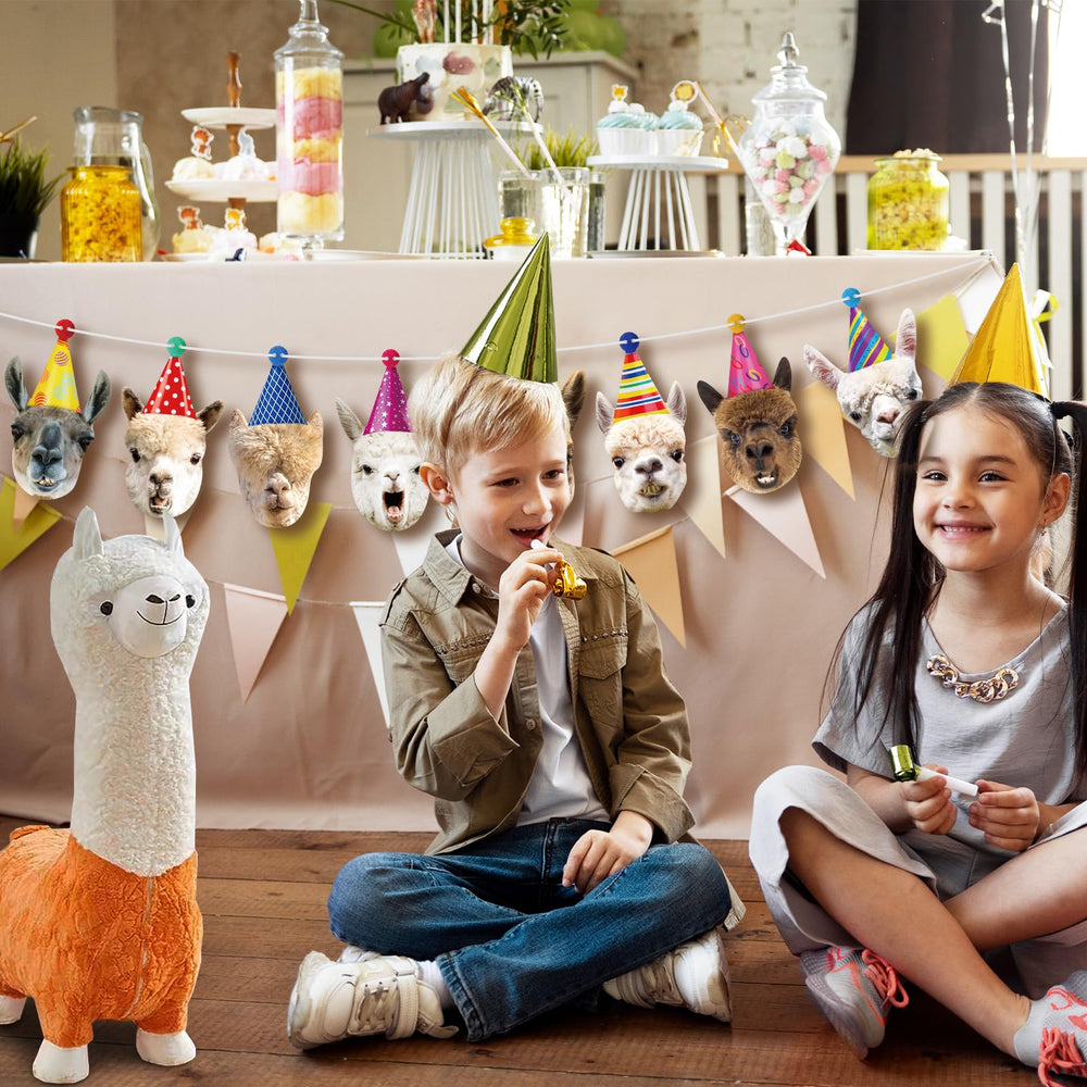 Hooqict llama banner window display enhances party ambiance.