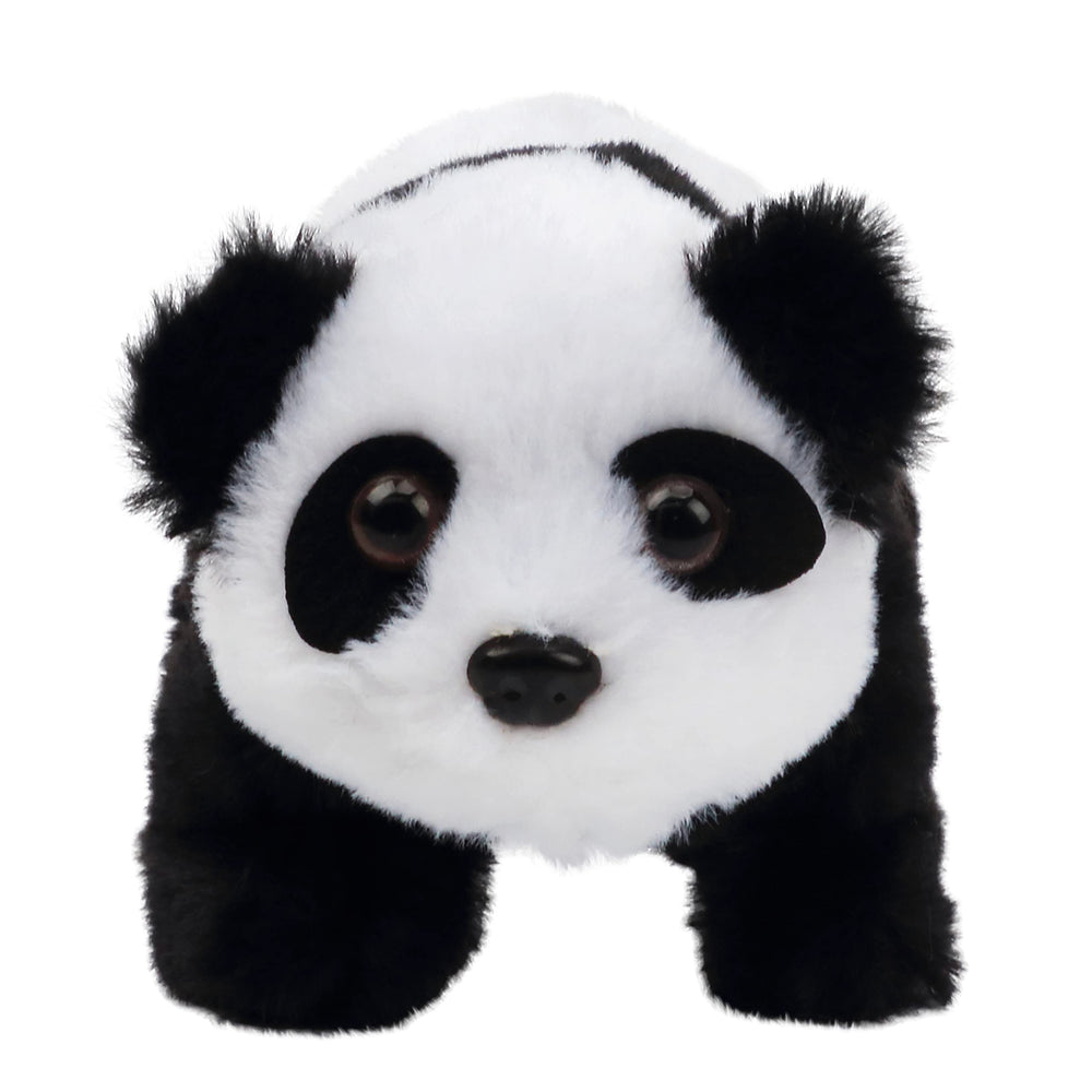Hopearl Panda safety storage notes for care.