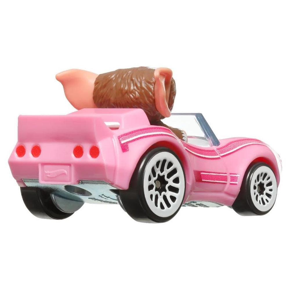 Hot Wheels RacerVerse collectors pack display shows multiple characters for shelf variety.