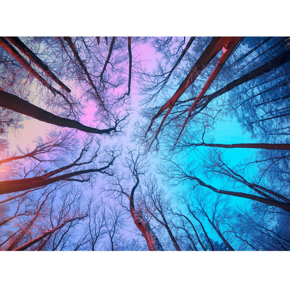 HUADADA winter forest puzzle 1000 pieces for adults, offering a calming, engaging challenge.