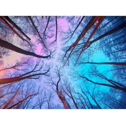 HUADADA winter forest puzzle 1000 pieces for adults, offering a calming, engaging challenge.