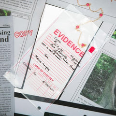 Hunt A Killer suspect files enhance suspense and conversation at your next party.