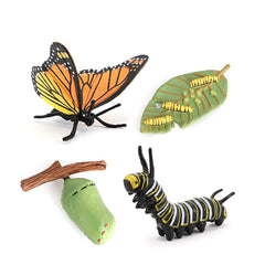 Hvogvok butterfly eggs figurine for classroom observation and STEM learning.