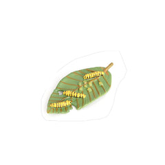 Hvogvok butterfly life cycle display stand helps organized teaching demos.