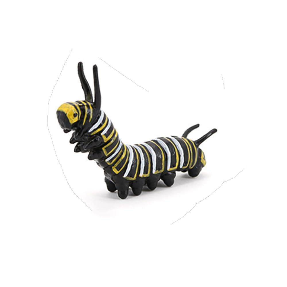 Hvogvok butterfly life cycle homeschool use supports self-guided nature study.