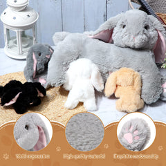 HyDren bunny magnetic nose feature invites playful interaction.