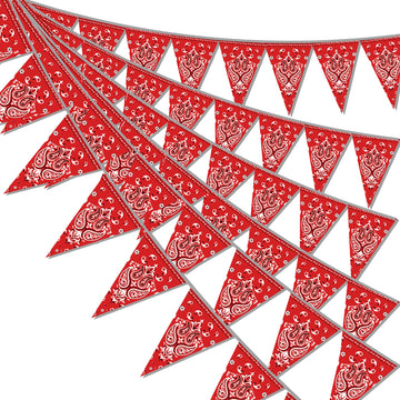 Hysilla Western banner pennant strip with 49 feet of festive flags for easy party decor.