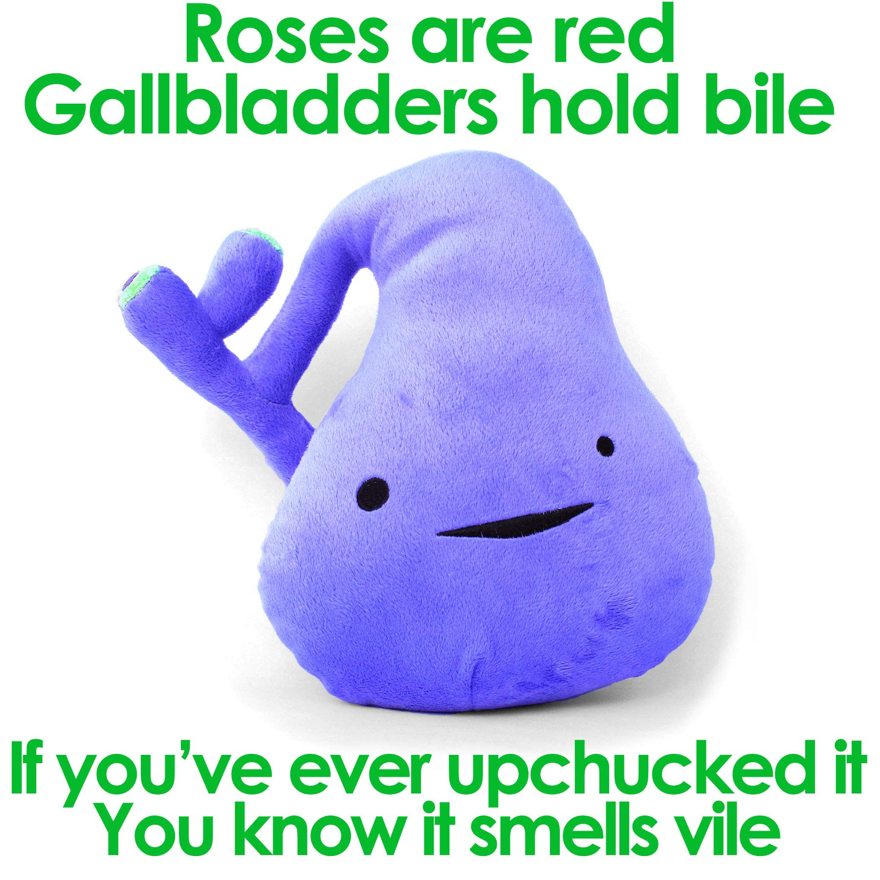 I Heart Guts gallbladder plush makes a thoughtful gift for medical recovery journeys.