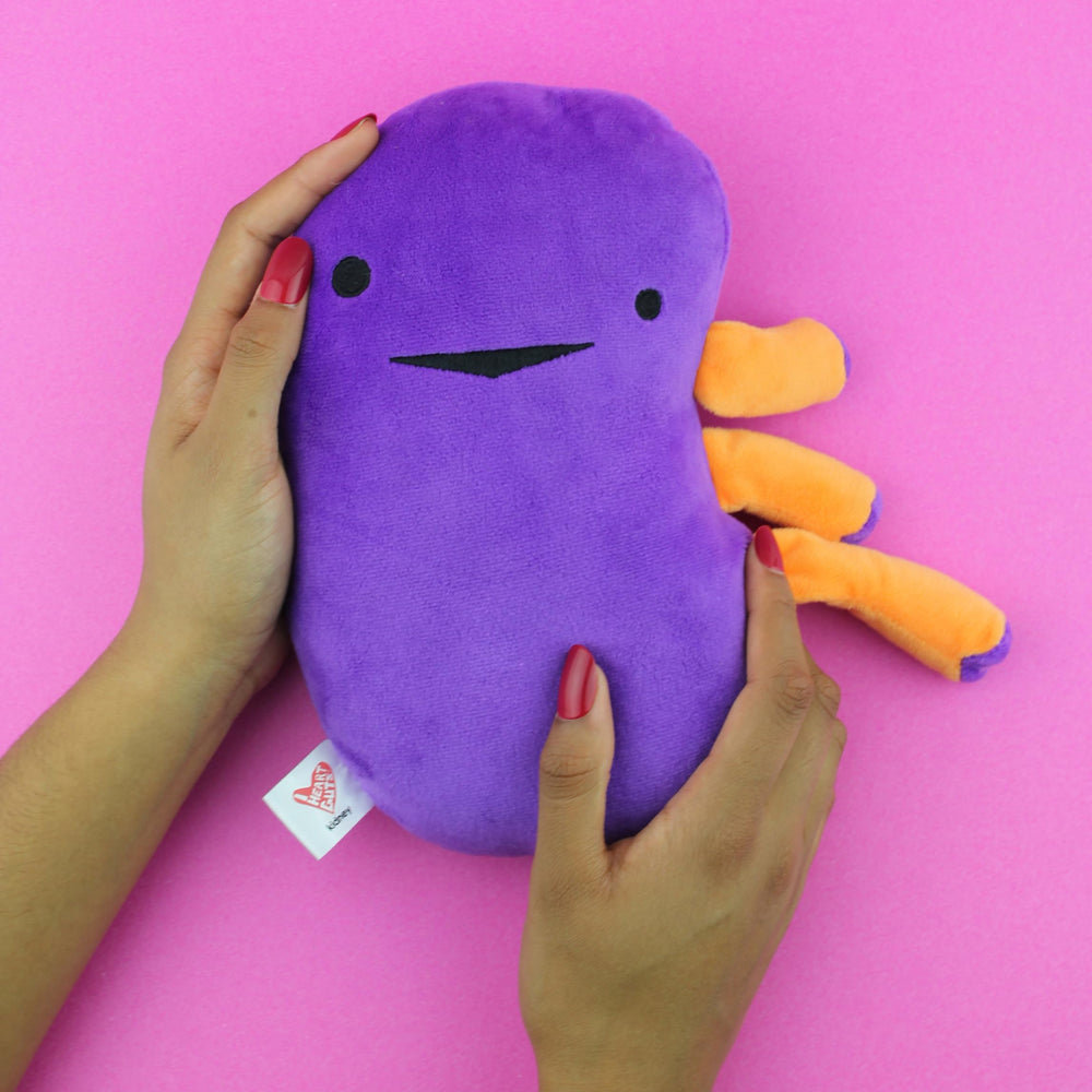 I Heart Guts kidney plush bright colors for playful science education.