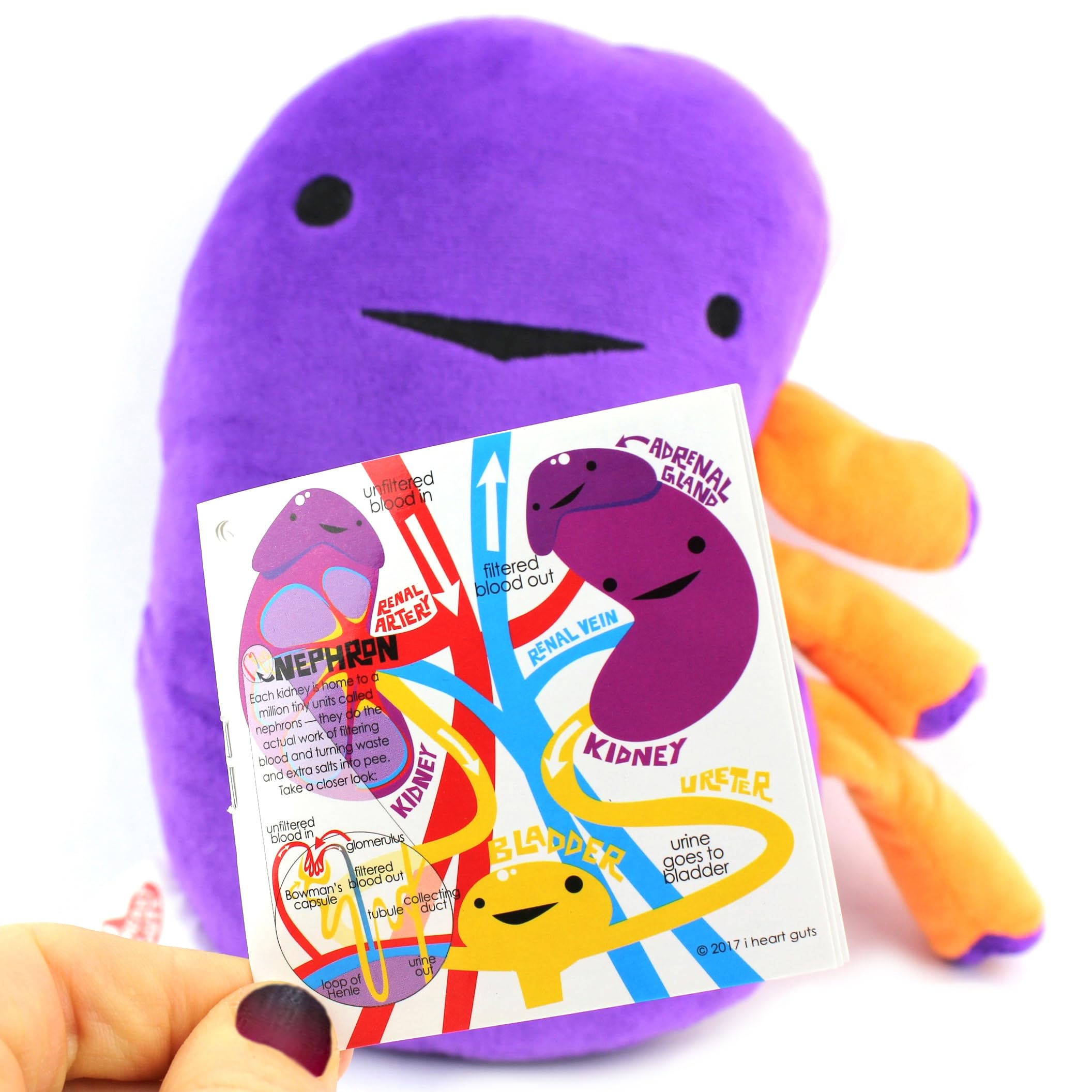 I Heart Guts kidney plush 9 by 8 by 3 inches for gifts.