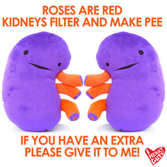 I Heart Guts kidney plush safe polyester material for all ages.