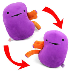 I Heart Guts kidney plush 9-inch height for compact, portable learning.