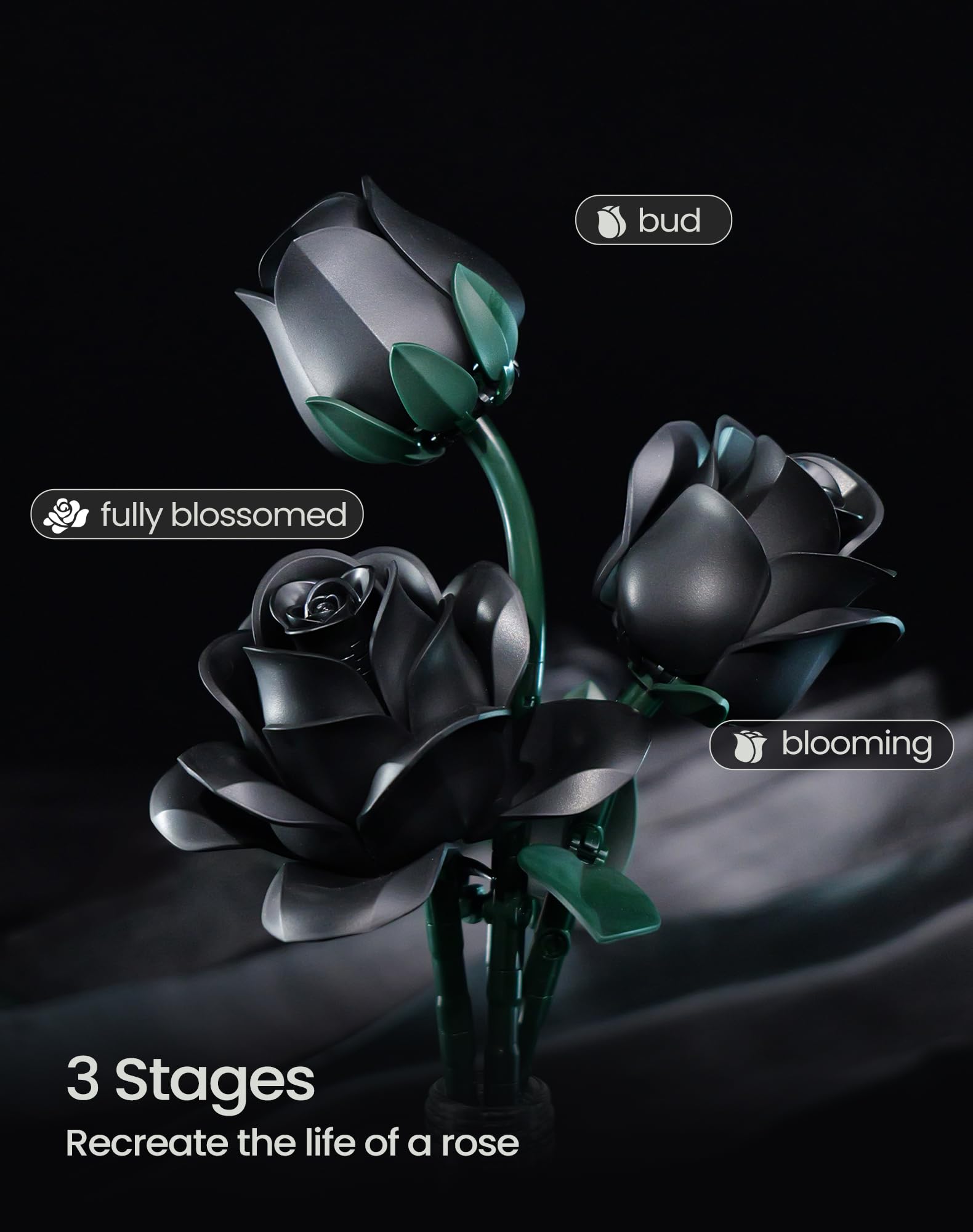iATOM Black Rose Bouquet leaves assembly frames the bouquet with greenery.