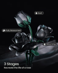 iATOM Black Rose Bouquet leaves assembly frames the bouquet with greenery.