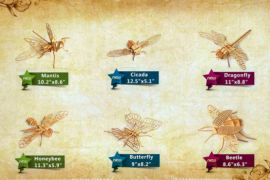 i-CHONY 3D insect puzzle cicada – engaging DIY project for teens and adults