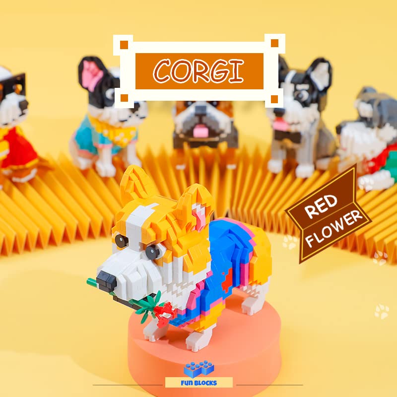 Illumely Corgi detailed instructions illustrating picture-based guidance for skill-building.