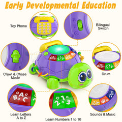 INNOSKY musical turtle toy gift idea with safe materials for infants