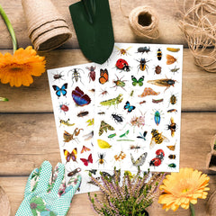 Insect Animals Stickers dragonflies versatile for crafts and journals.