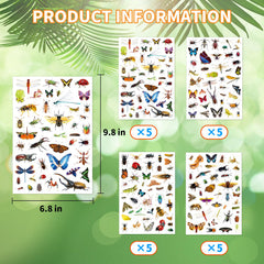 Insect Animals Stickers ladybugs vivid designs for scrapbooks and gift wrap.
