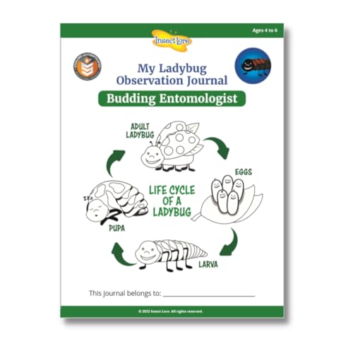 Insect Lore Ladybug larvae voucher provides live biology observation.