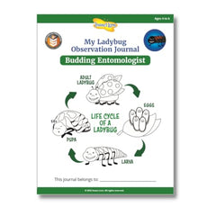 Insect Lore Ladybug larvae voucher provides live biology observation.