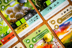 Inside Up Games Earth: Abundance expanded player boards enable six-player sessions.